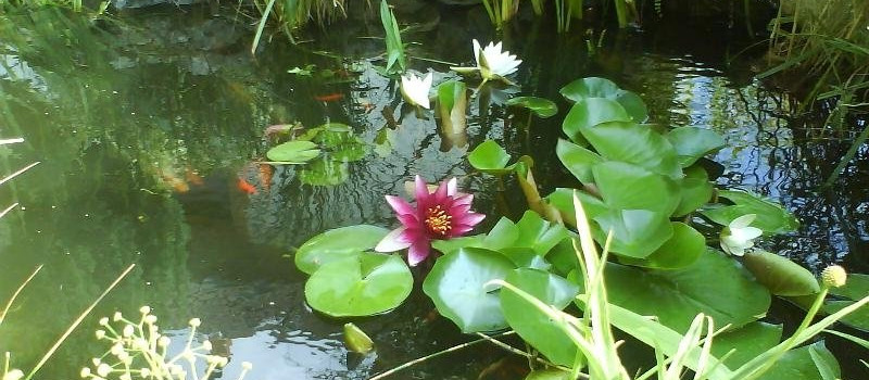 16A317859ECDE0B29224545FD72CE632