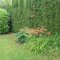 20170617_094629