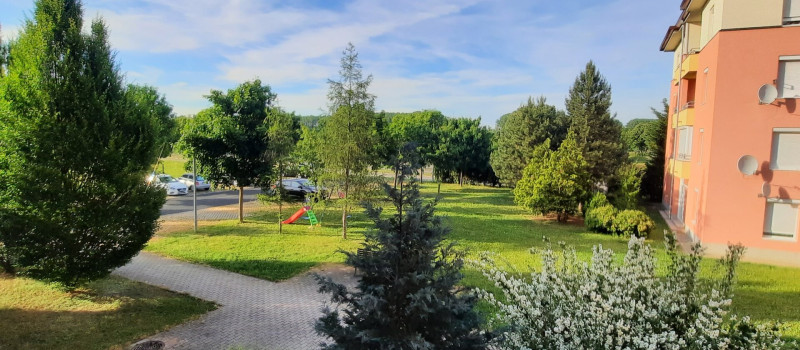 20210615_185016 (002)