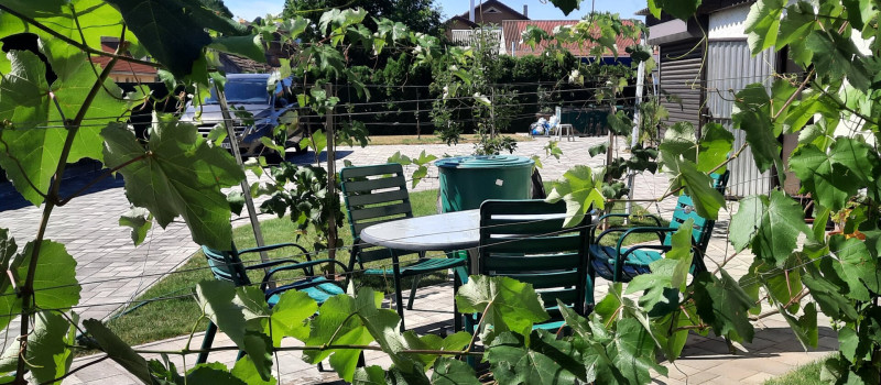 20210710_104911 (002)