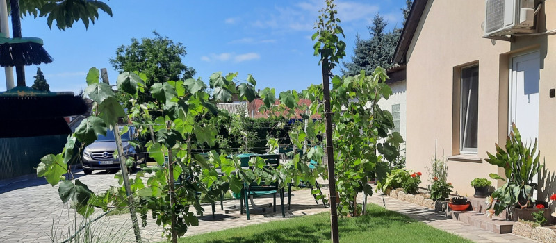 20210710_104934 (002)