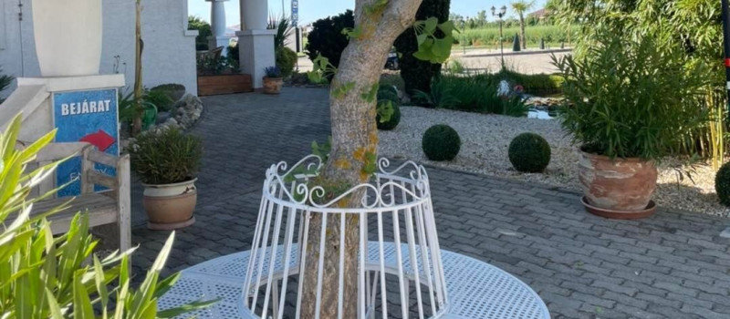 281763517_5072627686148653_98798