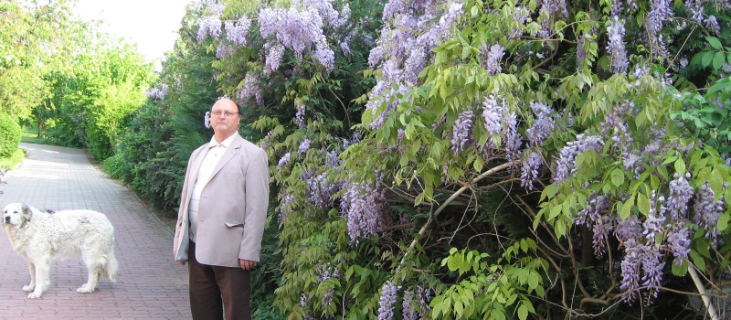 3c26db4eff7aced06c2e78a3751f36e1