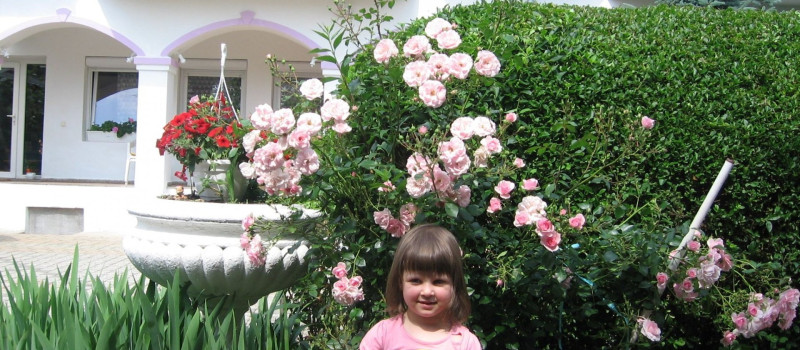 3c3cc24ffe67934449a75540040d6840