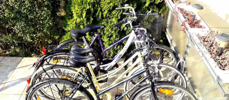 7bc47480c91c1d1790137399c10f33ee