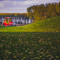 BUKVAROS_0578
