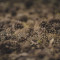 BUKVAROS_1604