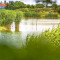 BUKVAROS_20099