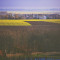 csepregi tibor_bük2015_csepreg_015