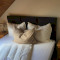 Erelia Cottage
