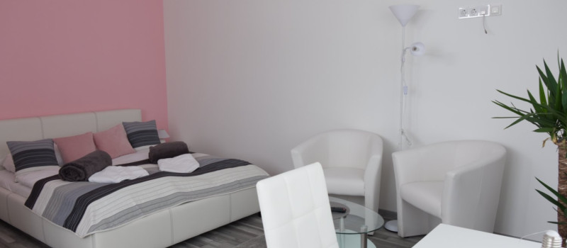 Gabriella-Panzió_róza_1