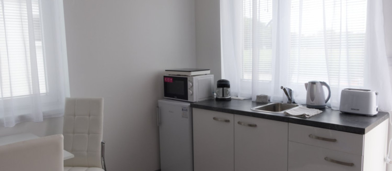 Gabriella-Panzió_róza_4