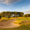 golf_7
