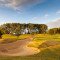 golf_7