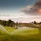 golf_8