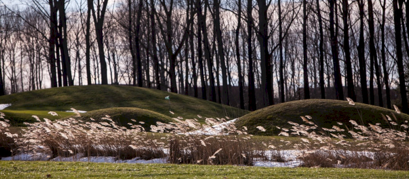 golf_9