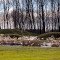 golf_9