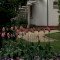 IMG-1044