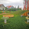 IMG_20220608_141345b