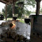 IMG-7798