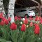 IMG-9807