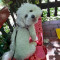 IMG-cd2d1941e23e61d12e254d17df5eb88b-V