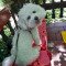 IMG-cd2d1941e23e61d12e254d17df5eb88b-V