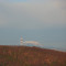 Kőszeg, erdő 3.(háttérben a Schneeberg)
