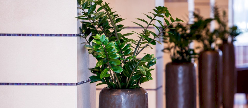 lobby_1