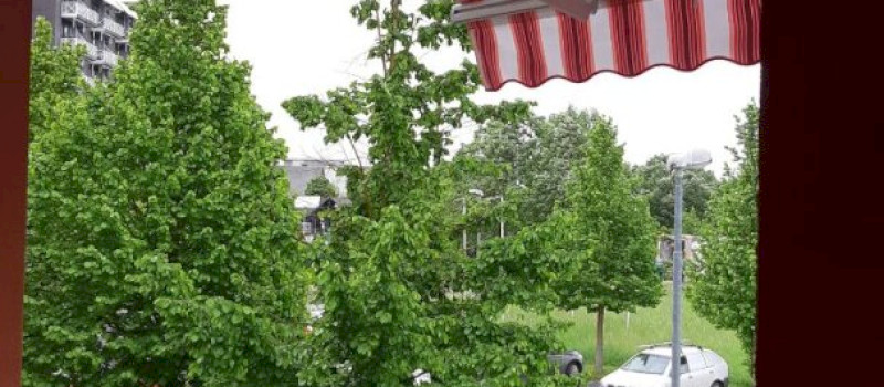 napellenző