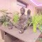 SAM_4122
