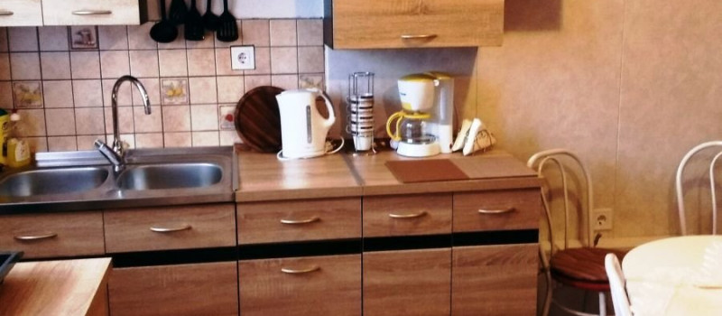 tulipan-belso-102FE790A23-874E-9C0C-A12D-6C16857FC40C