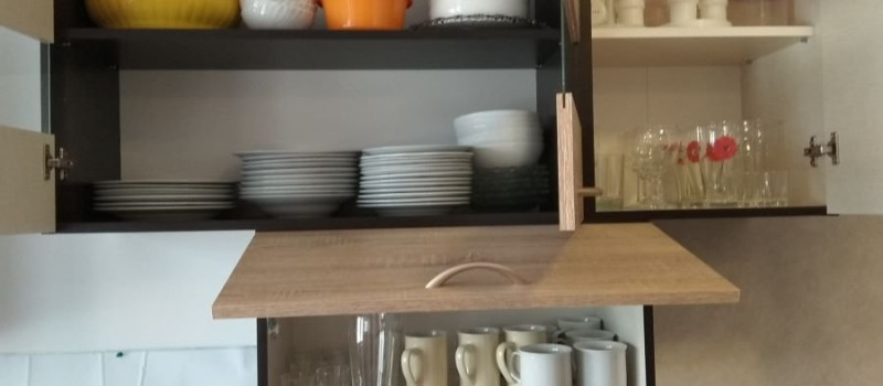 tulipan-belso-108F74EBB25-AEA1-D0C6-4E0F-0FF32DAA3738