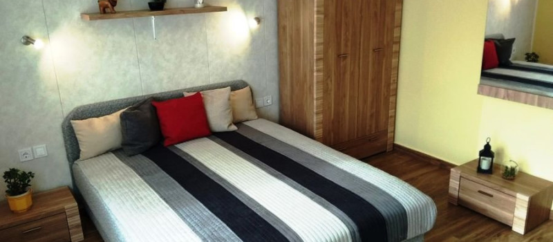 tulipan-belso-1098C385511-DC58-D6D8-C55C-57B187840627