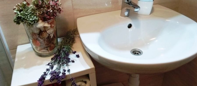 tulipan-belso-11408D7FB36-C353-EF5A-964D-1E6963047DD4