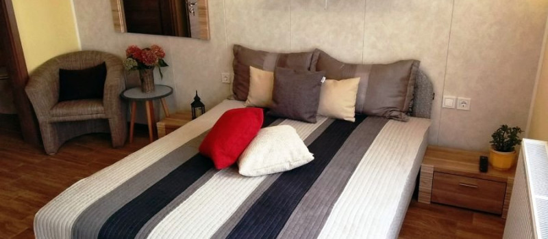 tulipan-belso-1159B8B1F13-8AD8-982B-CAE7-5742E9D27317