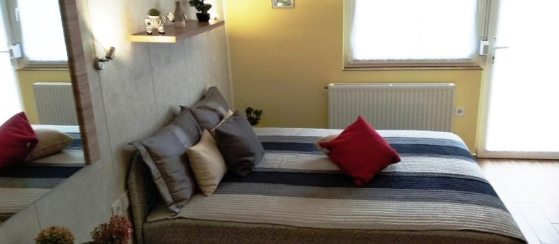 tulipan-belso-1217331235B-20C1-F7A4-031A-E6A39C4031BA