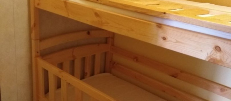 tulipan-belso-1257EE88FF5-A4E6-2486-653A-9E4F2F0FB0E8