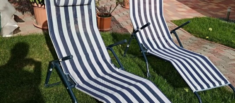 tulipan-kert-10236DD58E1-0CC7-50B2-7BCD-3BD972034FA4