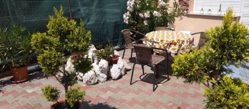 tulipan-kert-1066214095E-62F8-2E5D-05BA-657DA033B2DA