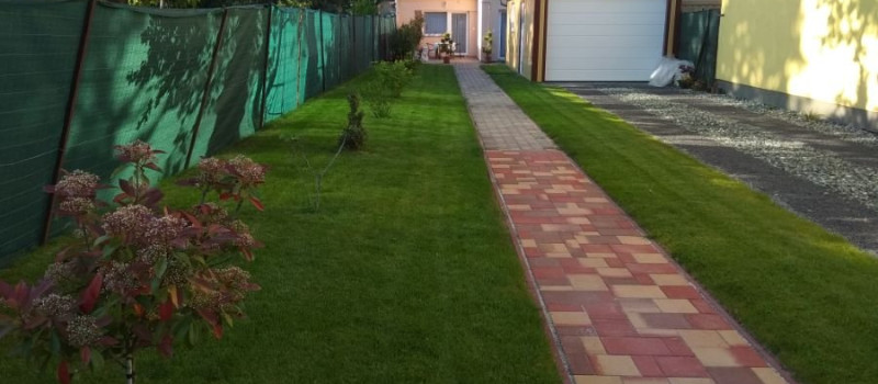 tulipan-kert-1120CB16E60-E50C-2D39-301E-D8003DF5EC77