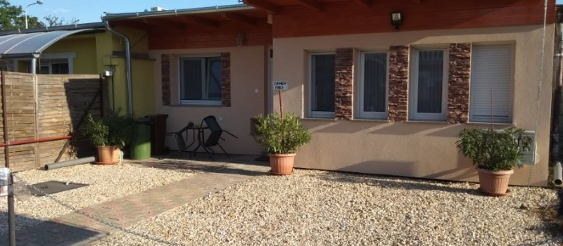 tulipan-kulso-101486CD290-DD9F-E904-A7C5-5A7C31FA9C8A